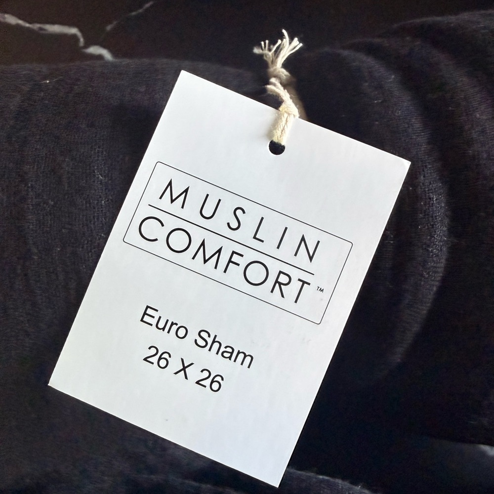 2 Black Euro Pillow Shams